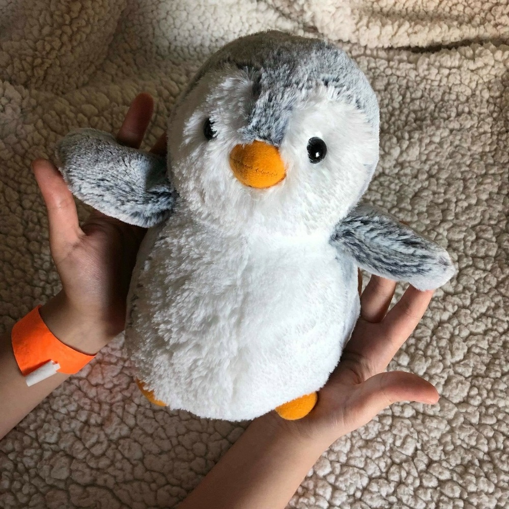 Penguin toy